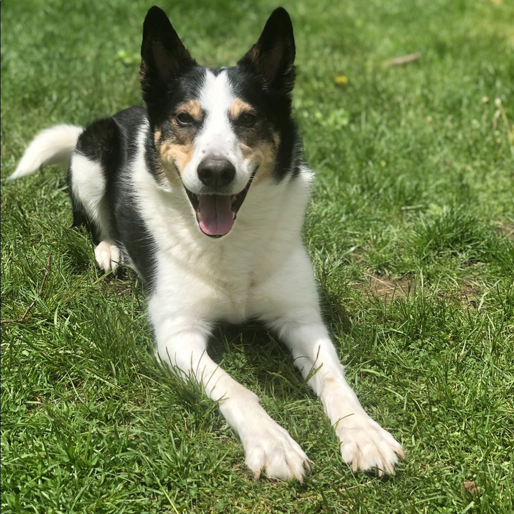 Make a bundle! 🤩 - Picture 4 of 4